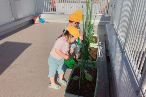 わかたけ保育園(東京都板橋区)