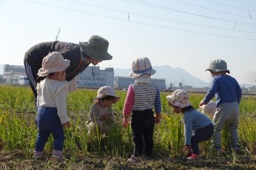 認定こども園 岡保こども園(福井県福井市)