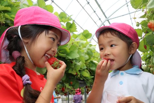 東山ガーデニアこども園(愛知県大府市)