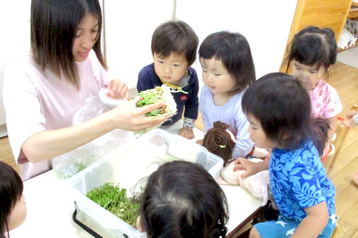 白百合乳児保育園(横浜市神奈川区)