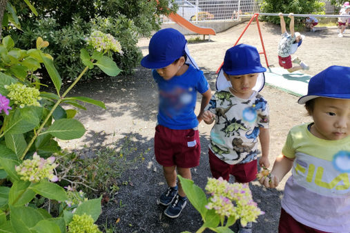 川崎たちばな保育園(川崎市高津区)