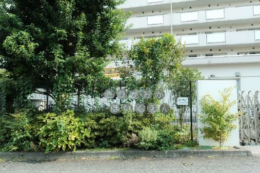 桐ヶ丘保育園(東京都北区)