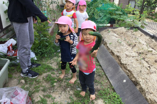 小規模保育園　田島けやき保育園(福岡市城南区)