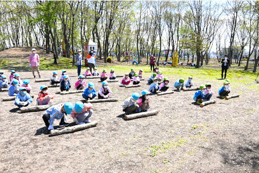 認定こども園はくちょう幼稚園(北海道苫小牧市)