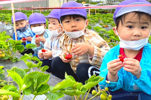 認定こども園はくちょう幼稚園(北海道苫小牧市)