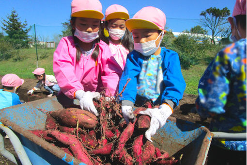 認定こども園第2はくちょう幼稚園(北海道苫小牧市)