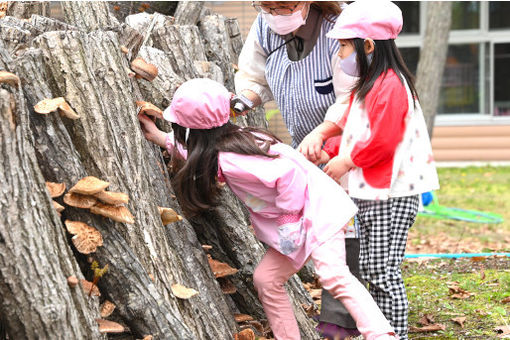 認定こども園はくちょう幼稚園(北海道苫小牧市)