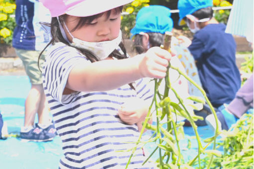 認定こども園第2はくちょう幼稚園(北海道苫小牧市)