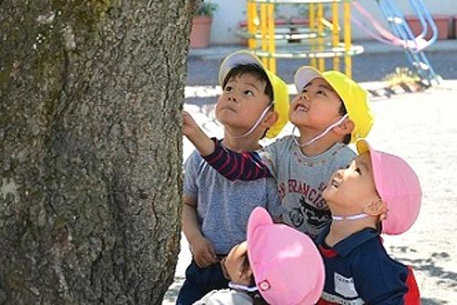 認定こども園大谷幼稚園(山形県山形市)