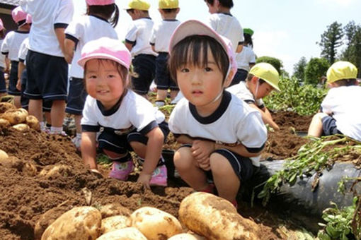 ドレミ幼稚園(茨城県笠間市)