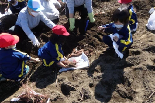 認定こども園ゆりかご幼稚園(茨城県古河市)