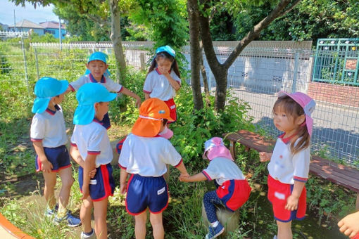 幼保連携型認定こども園浦和こばと幼稚園(埼玉県さいたま市桜区)