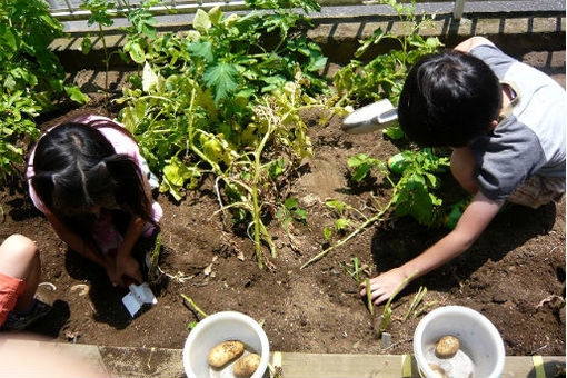 レジナ幼稚園(東京都江戸川区)