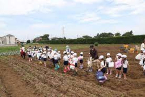 幼保連携型認定こども園大浜幼稚園(千葉県船橋市)