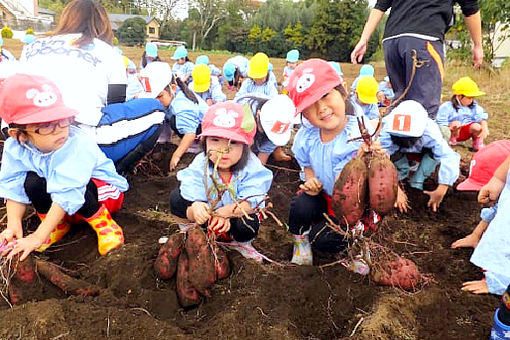 鎌ケ谷ふじ幼稚園(千葉県鎌ケ谷市)