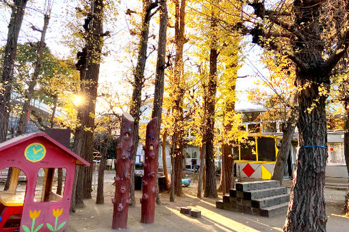 福田幼稚園(東京都渋谷区)