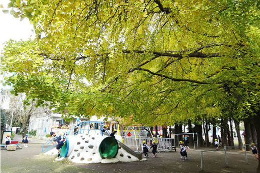 福田幼稚園(東京都渋谷区)