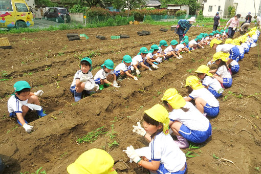 ぬくい南幼稚園(東京都小金井市)