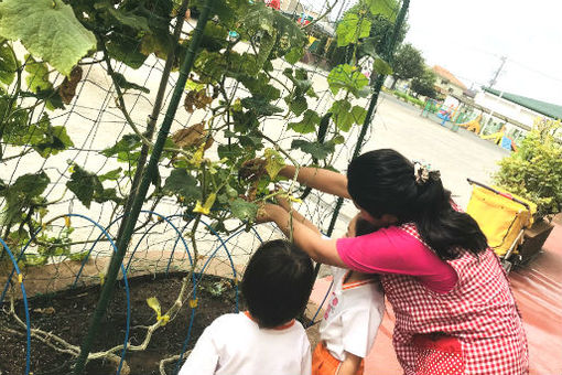 大和富士幼稚園・やまとふじこども園(東京都東大和市)