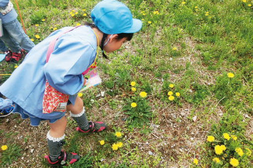 武蔵野大学附属有明こども園(東京都江東区)