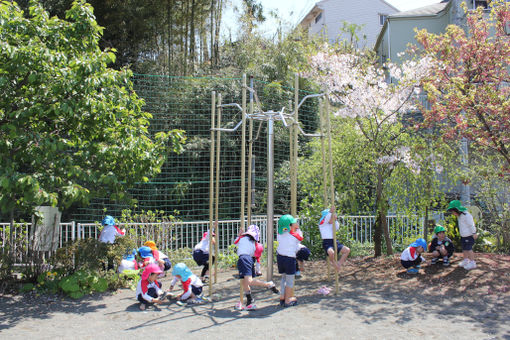 みほ幼稚園(神奈川県横浜市緑区)