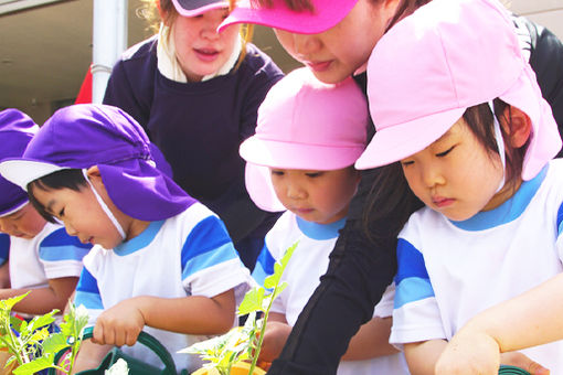 めぐみ幼稚園(富山県富山市)