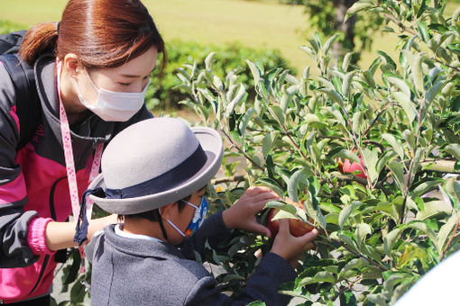 幼保連携型認定こども園 木津幼稚園(石川県かほく市)