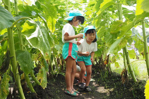 うぬま第二幼稚園(岐阜県各務原市)