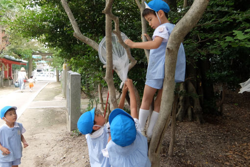 学校法人　亀之森住吉学園　亀之森幼稚園・かめのもり乳児園(大阪府池田市)