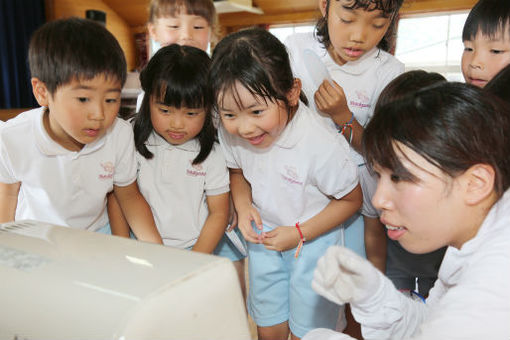 向丘幼稚園(広島県福山市)