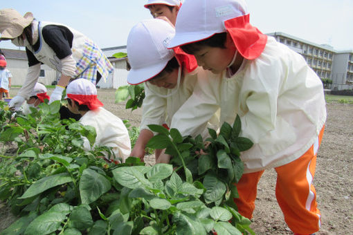 久米幼稚園(愛媛県松山市)