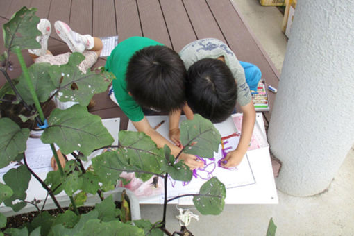 すぎのこ幼稚園(大分県大分市)