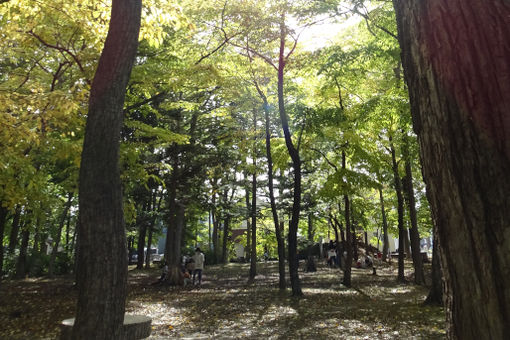 日の丸保育園(北海道札幌市東区)