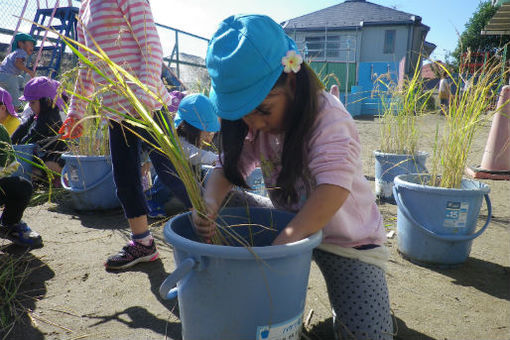 名瀬いちい保育園(神奈川県横浜市戸塚区)