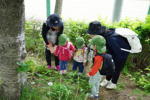 もいわ中央こども園(北海道札幌市南区)