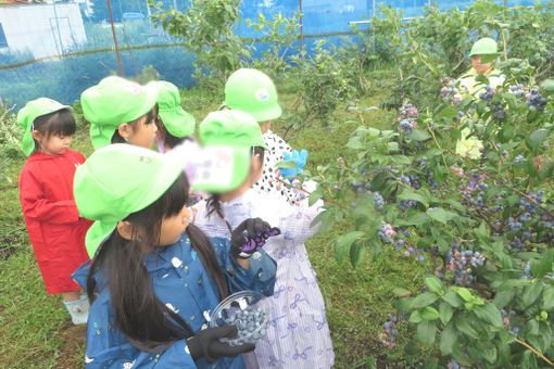 北郷ピノキオ認定こども園(北海道札幌市白石区)