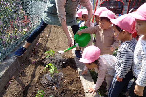 認定こども園札幌杉の子保育園(北海道札幌市清田区)