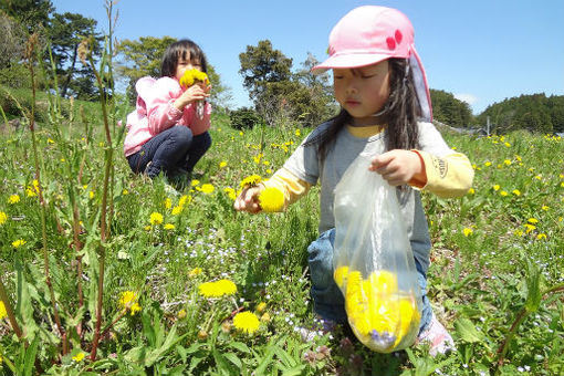 つめ草保育園(宮城県多賀城市)