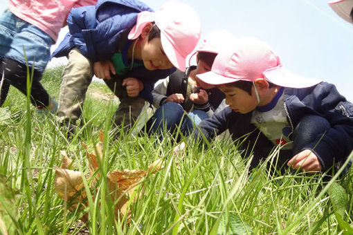 つめ草保育園(宮城県多賀城市)