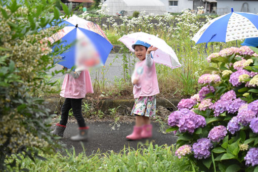 堀あさひこども園(茨城県水戸市)