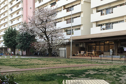 ChaCha Children Higashitoyama(東京都新宿区)