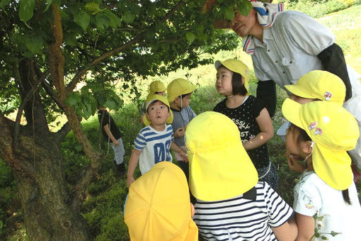 遊美保育園(埼玉県さいたま市北区)