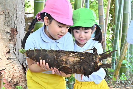 こびとの森幼保園(埼玉県さいたま市南区)