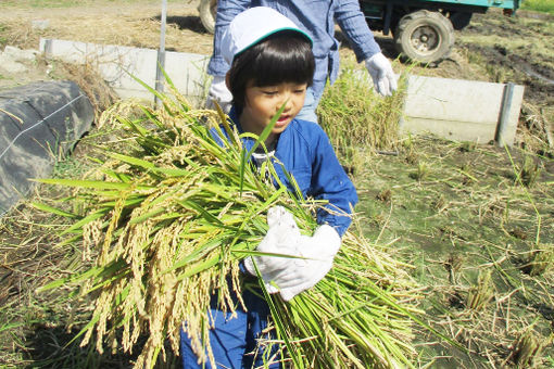 （仮称）東大宮たいよう保育園(埼玉県さいたま市見沼区)