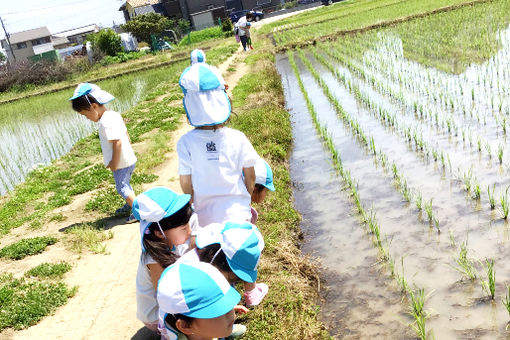 きらり保育園(埼玉県さいたま市岩槻区)