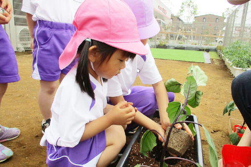 きらり白妙保育園(埼玉県さいたま市岩槻区)