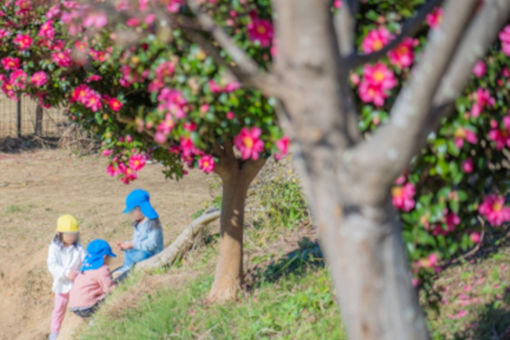 ふたば保育園(千葉県千葉市緑区)