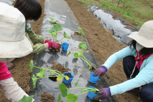 ふたば保育園(千葉県千葉市緑区)