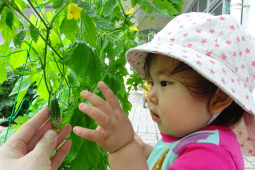 ゆりかご保育園(千葉県木更津市)