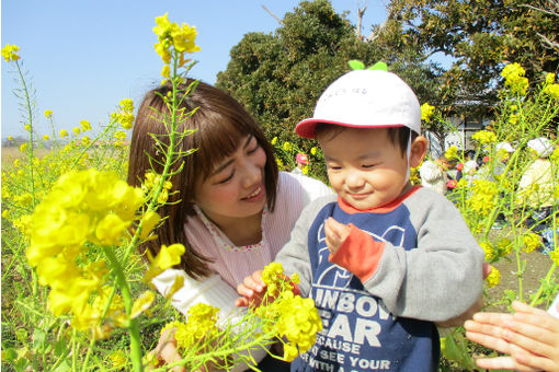 ゆりかご保育園(千葉県木更津市)